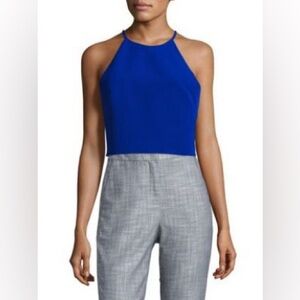 👉🏼Like New👈🏼 Belle Badgley Mischka Nora Halterneck Sleeveless Blue Cropped Top